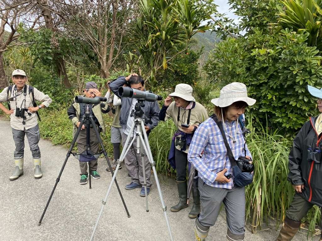 事前エクスカーション：奄美野鳥の会による野鳥観察会